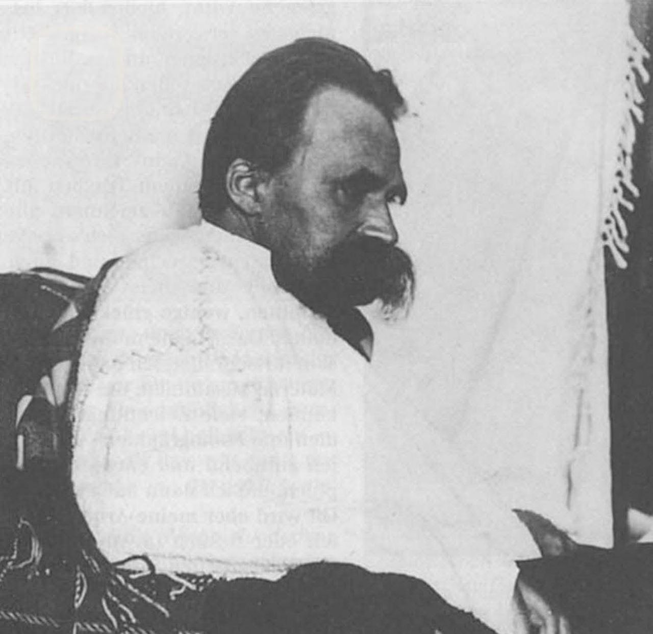 فروپاشی نیچه